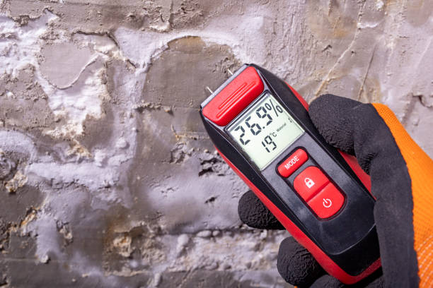 Best Mold Remediation for Specific Building Types in North Bonneville, WA