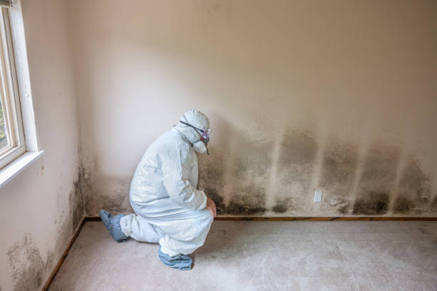 Best Mold Remediation for Schools in North Bonneville, WA